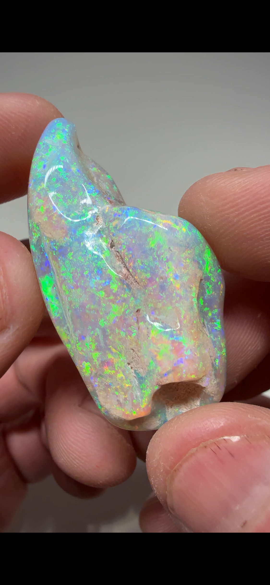 73.8cts Super High Grade Mussel shell CPMS2