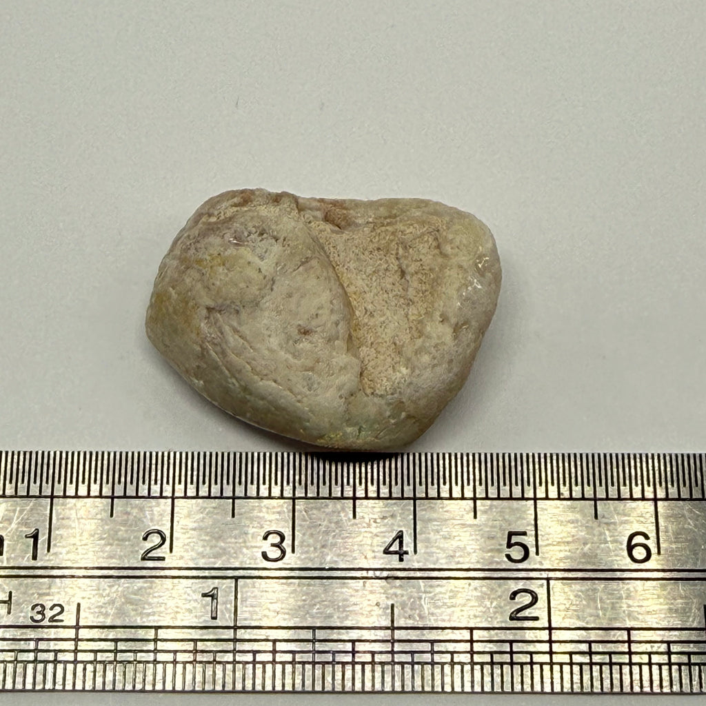 High grade shell