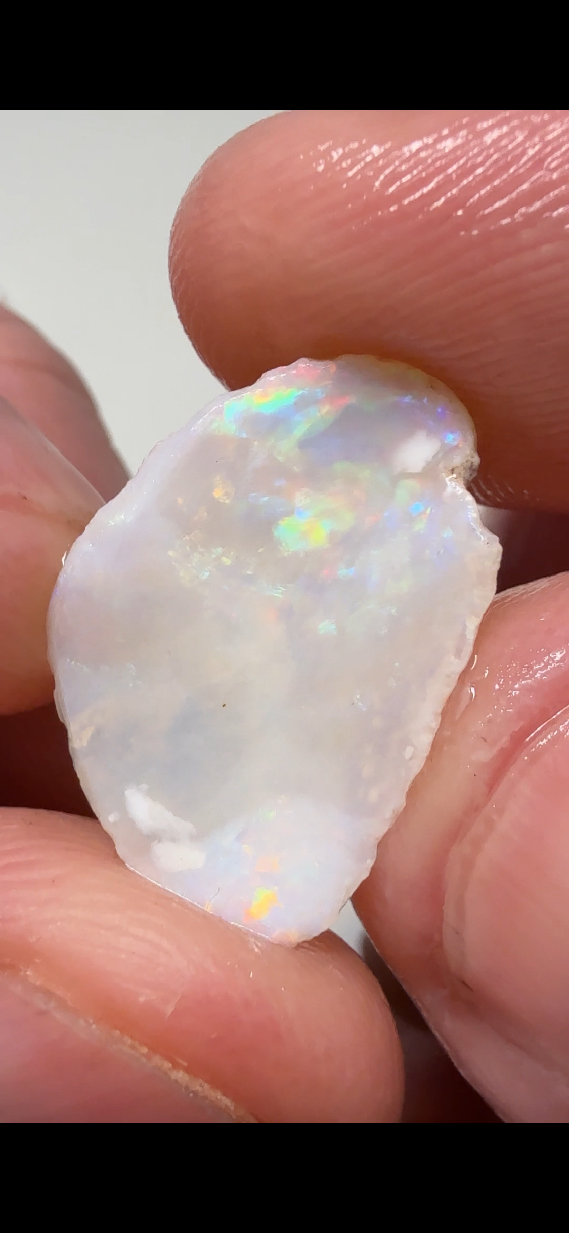 8.10Cts 2x Coober Pedy Shell fossil pieces CPWB7