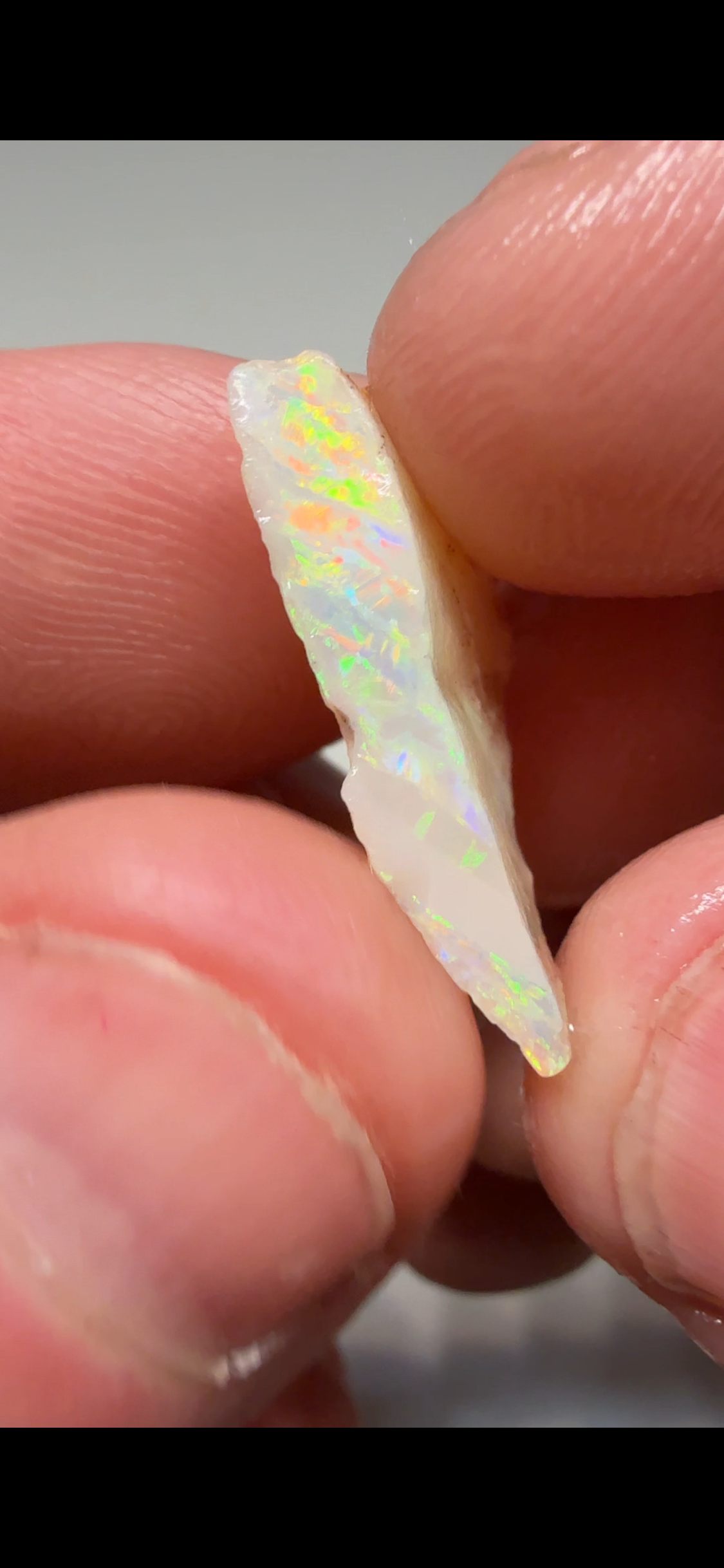 2X stones 10.25ct  Shell fossils pieces CPBG6