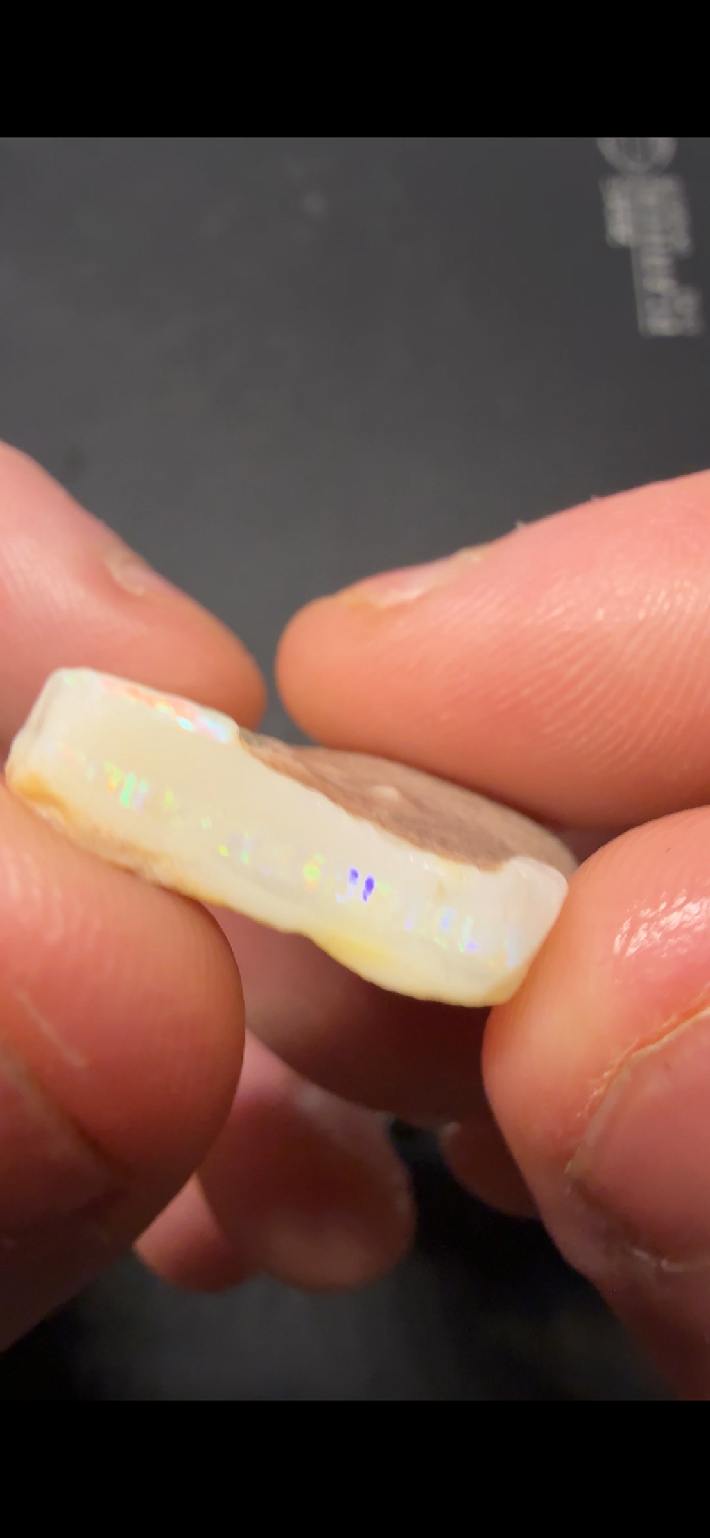 THUMPER SINGLE ROUGH STONE 30.40CTS ZHP10
