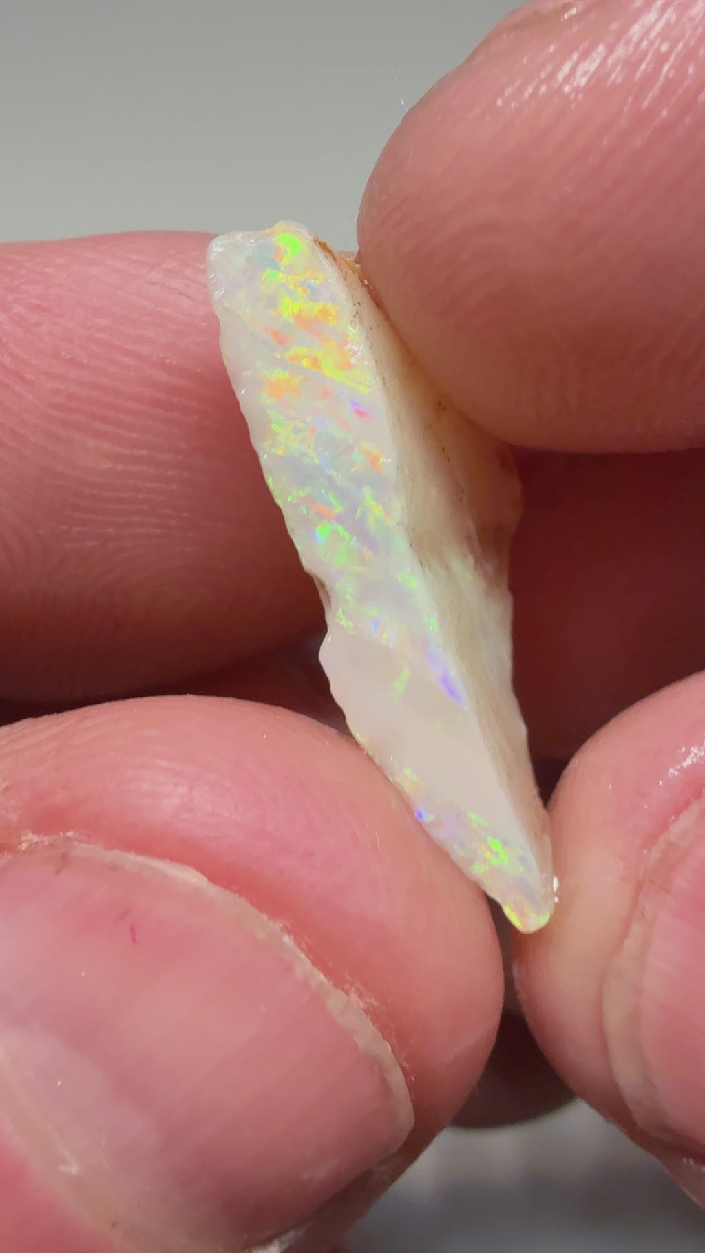2X stones 10.25ct  Shell fossils pieces CPBG6