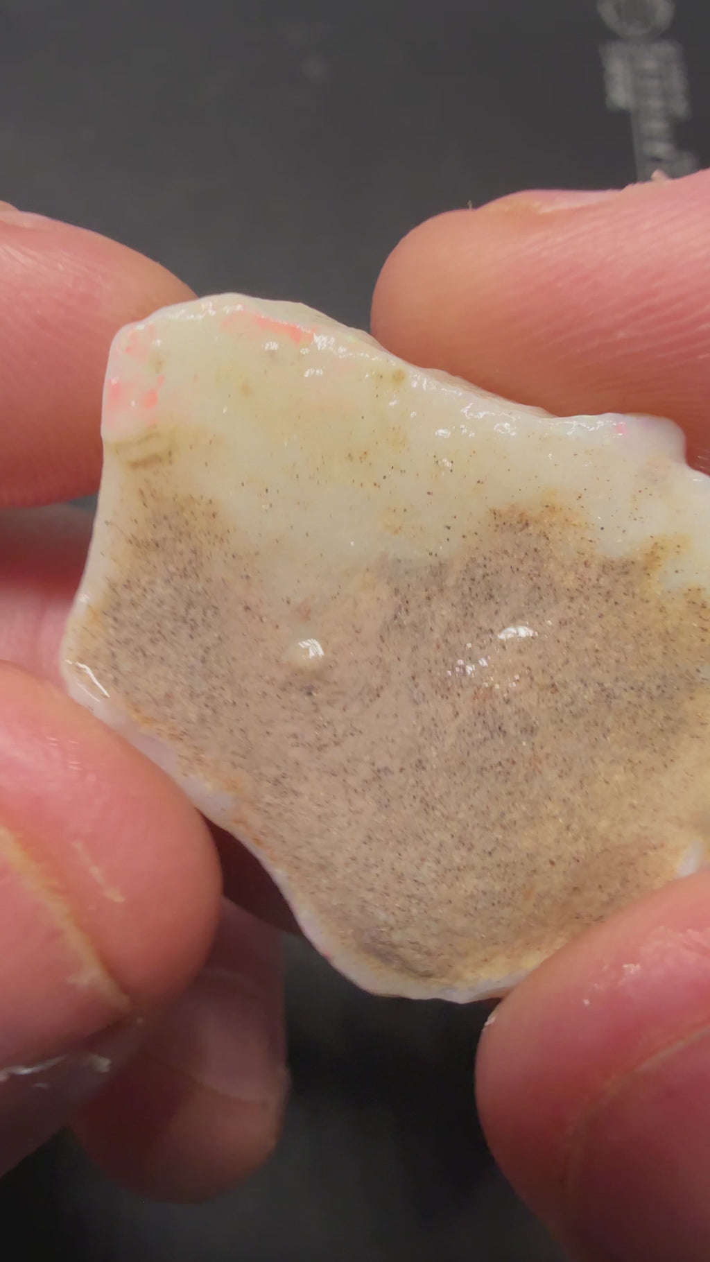 THUMPER SINGLE ROUGH STONE 30.40CTS ZHP10