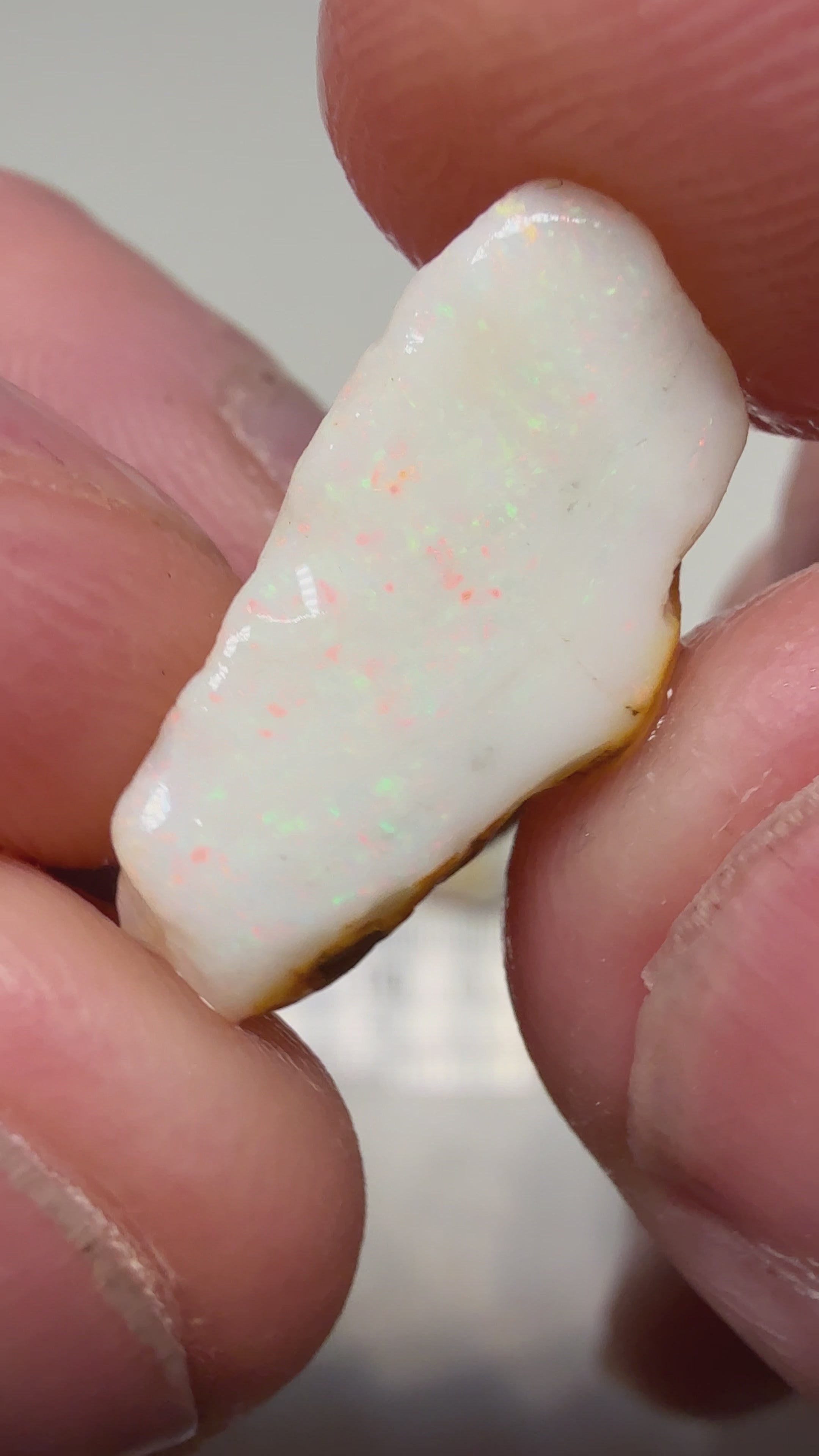 2X stones 14.85cts Coober Pedy Rough CPR19