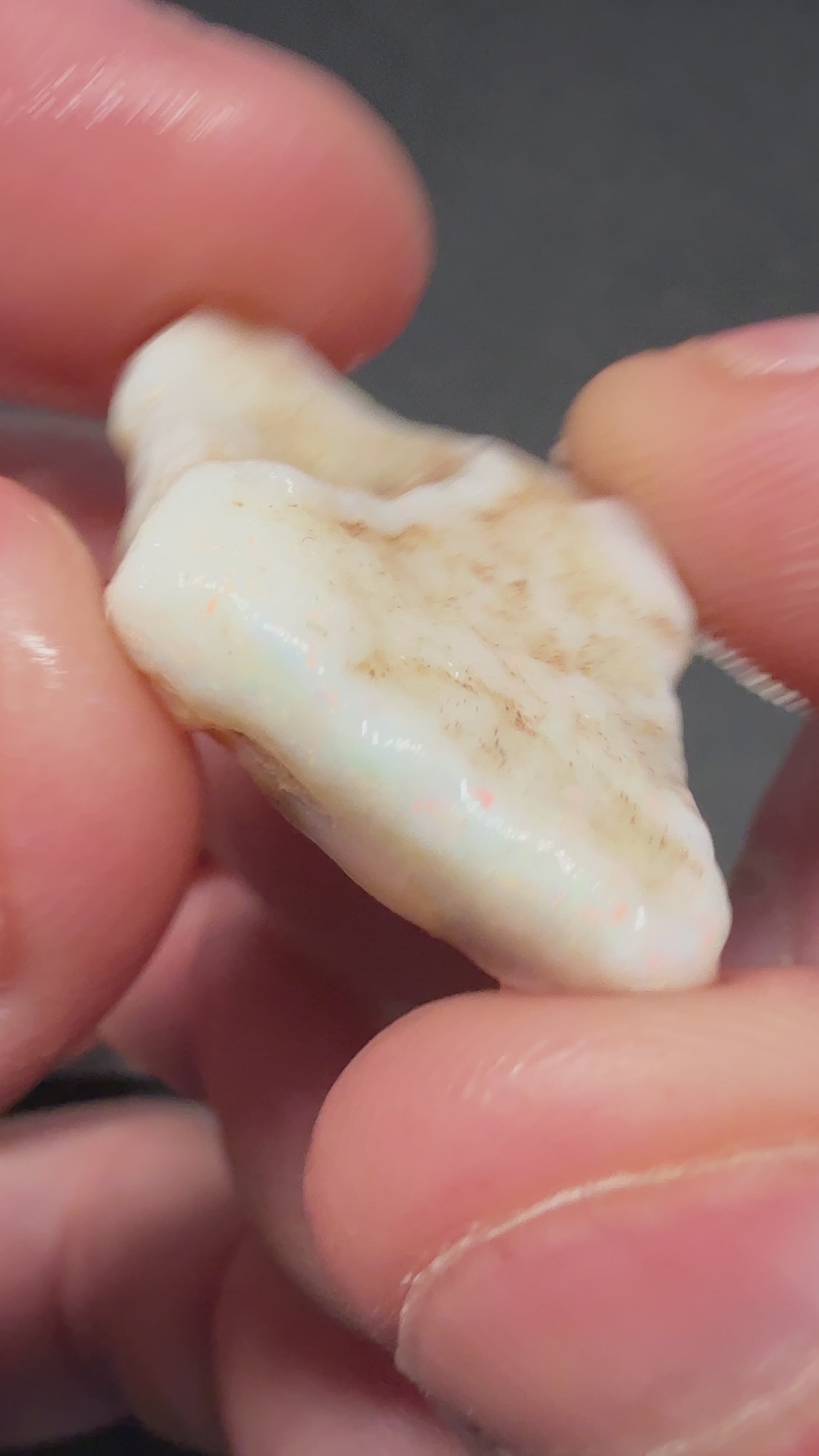 24.6CTS BHPR2