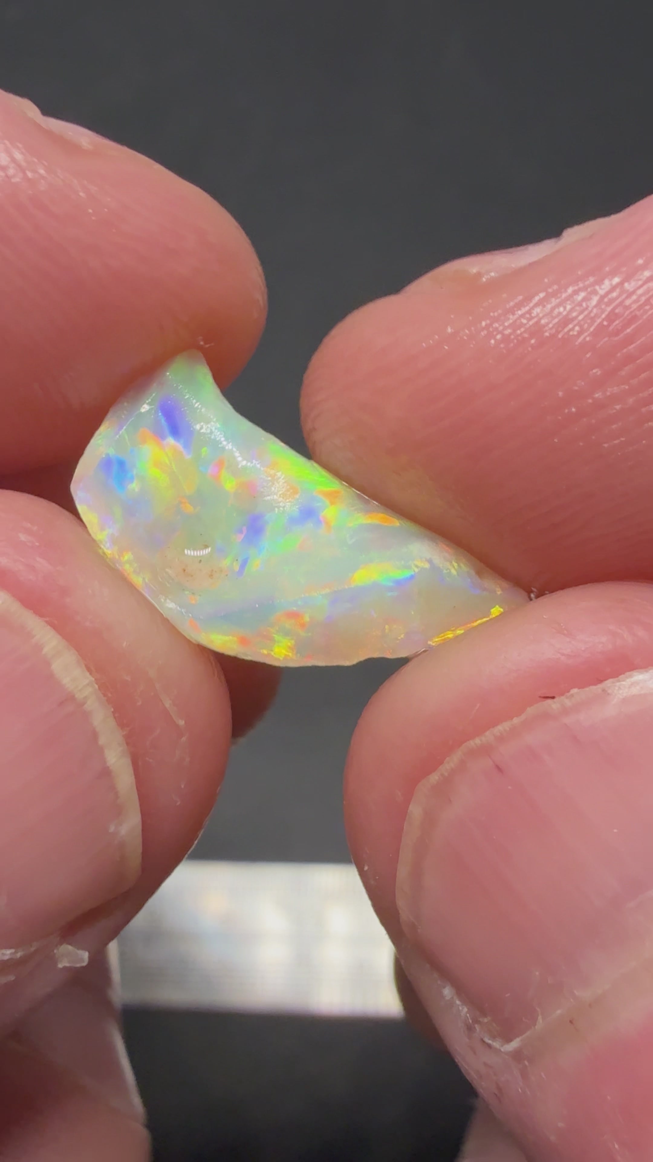 3.15CTS SUPER GEMMY FOSSIL HPS3