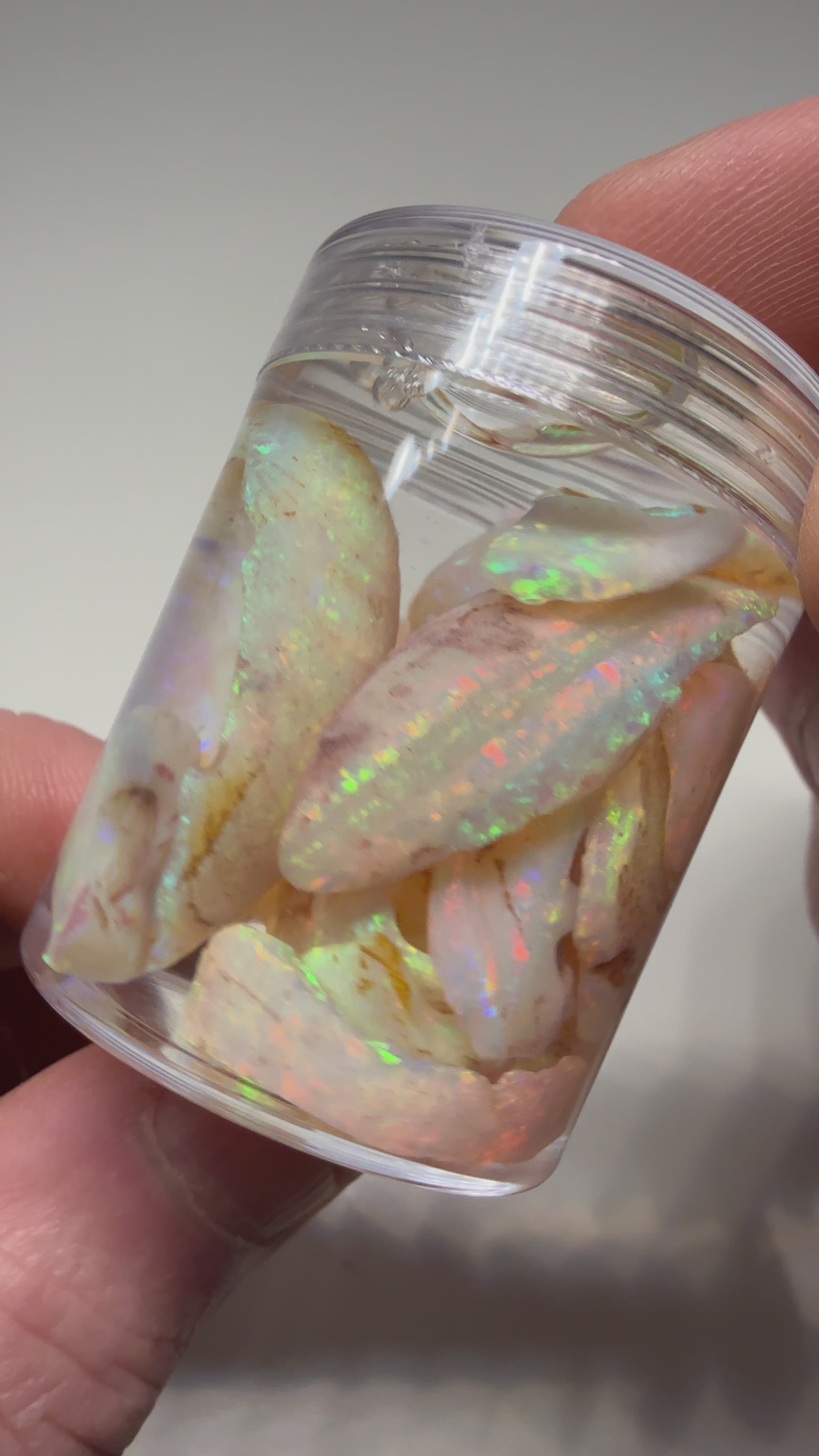 Super Bright Shell Material 128cts CP
