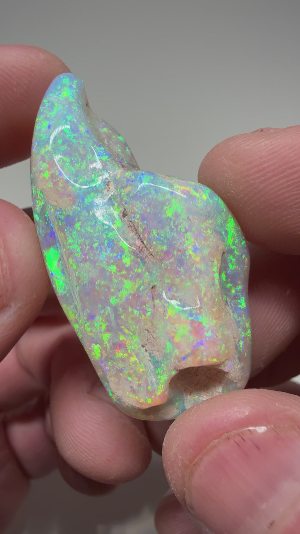 73.8cts Super High Grade Mussel shell CPMS2