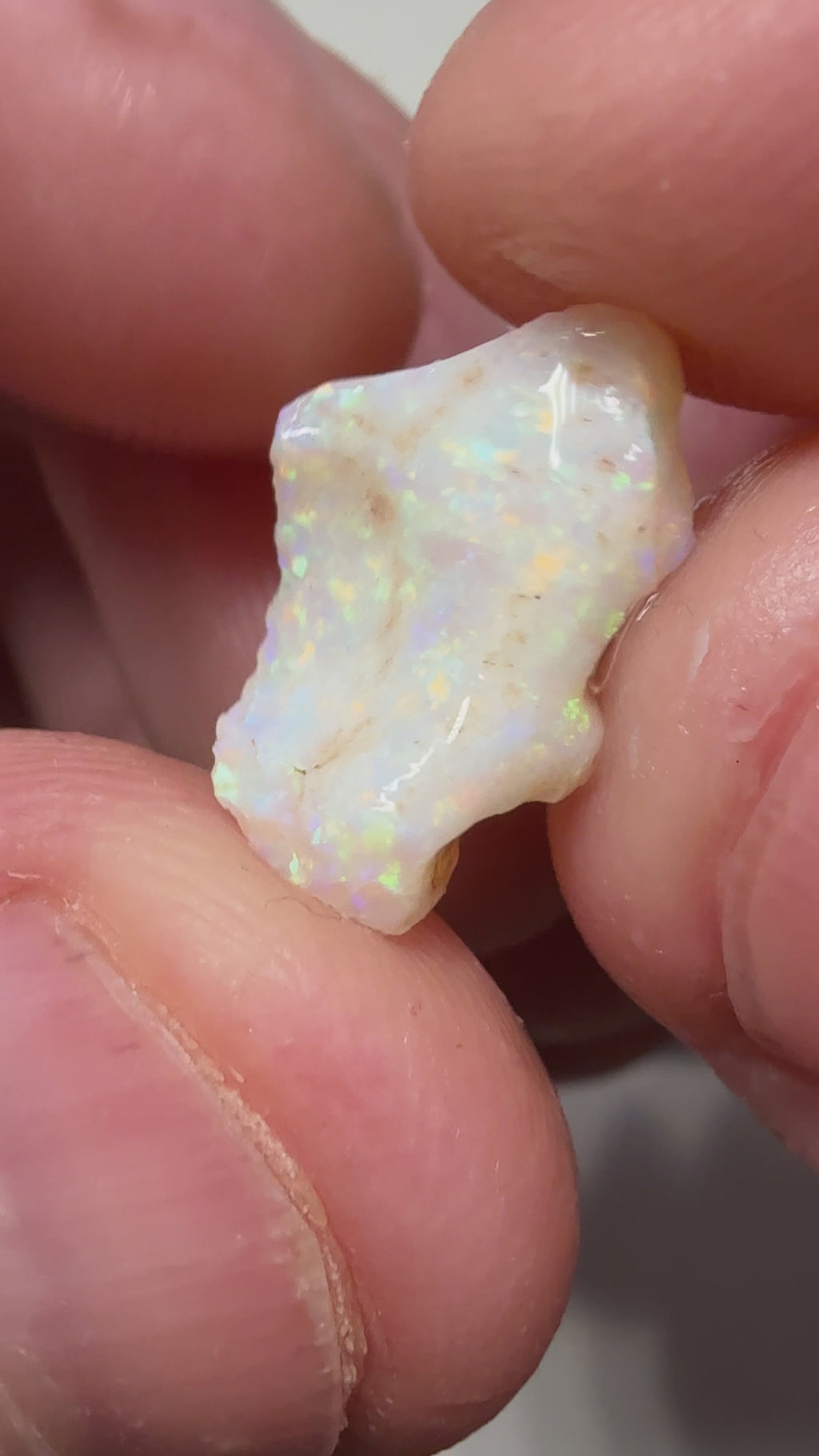 9.25cts Coober Pedy Shell fossil 3 stones CPWB8