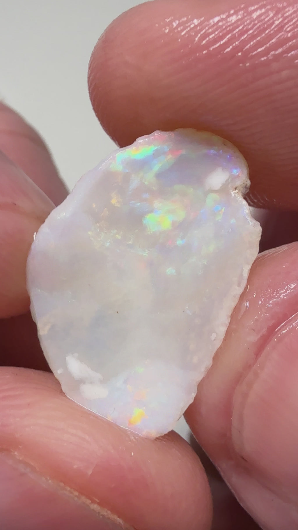 8.10Cts 2x Coober Pedy Shell fossil pieces CPWB7